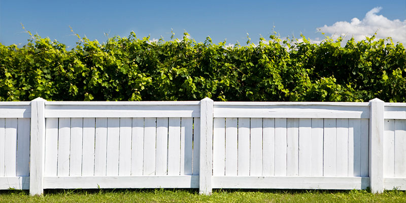 Three Reasons to Consider Fence Painting